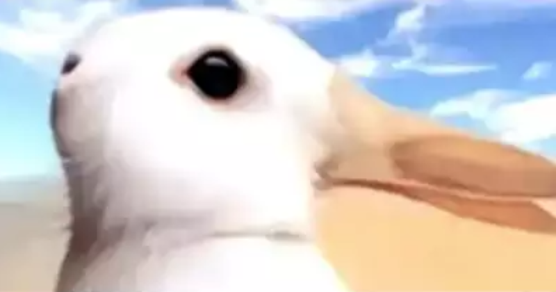 Optical Illusion: Duck Or Bunny? What You See First Will Reveal Your True Personality