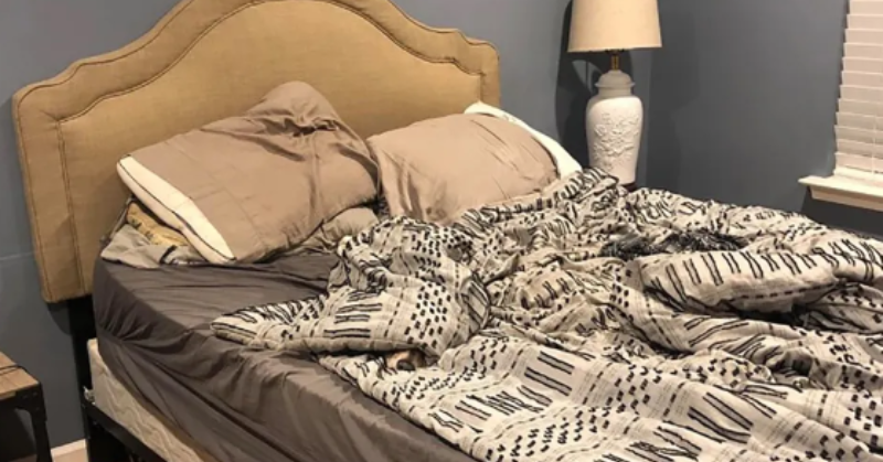 Optical Illusion: Spot Sneaky Dog Hiding Somewhere In This Messy Bedroom In 10 Seconds