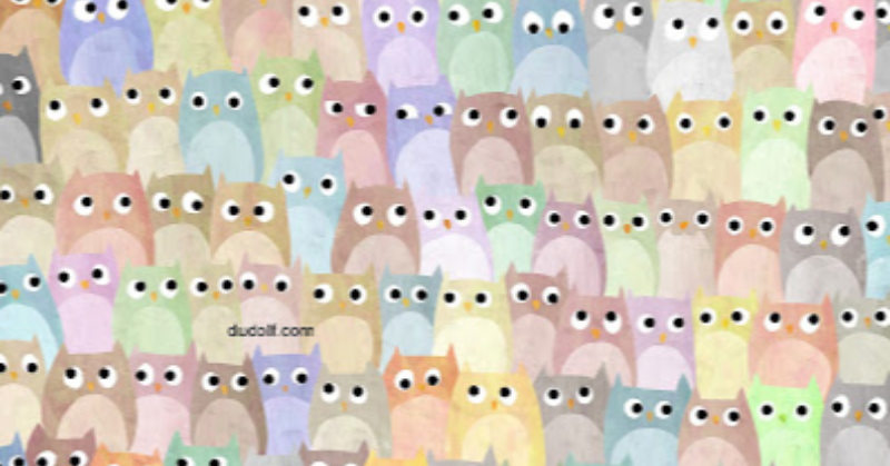 Optical illusion challenge: in less than 15 seconds, find the cat hidden among the colorful owls