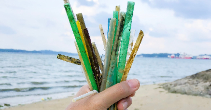 Paper straws have more 'permanent chemicals' than plastic, a new study reveals