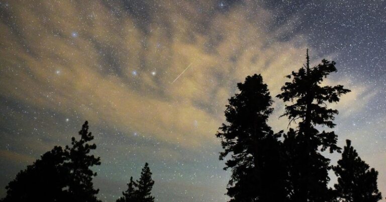 Perseid Meteor Shower Set To Fill The Night Sky With 100 Meteors Per Hour, Here's How You Can Catch It