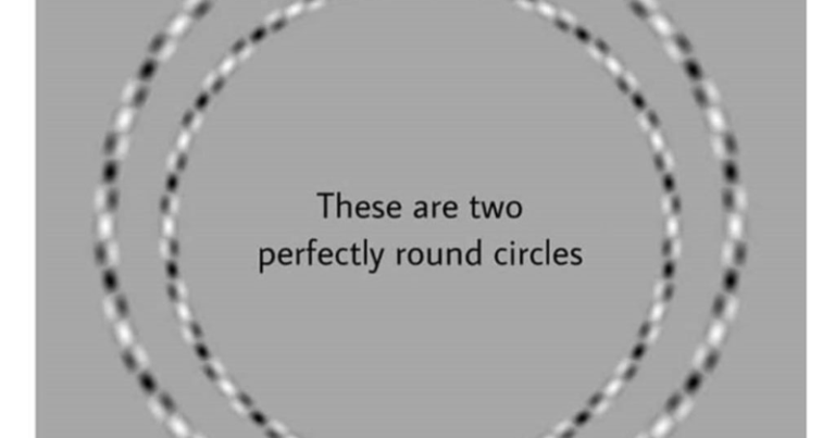 Seeing Double: Can You Spot The Number Of Circles In This Optical Illusion?