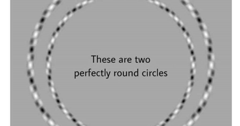 Seeing Double: Can You Spot The Number Of Circles In This Optical Illusion?
