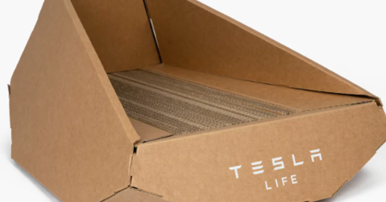 Weirdest Merch Ever! Elon Musk's Tesla Is Selling Cybertruck-Inspired Cat Beds Made Of Cardboard In China