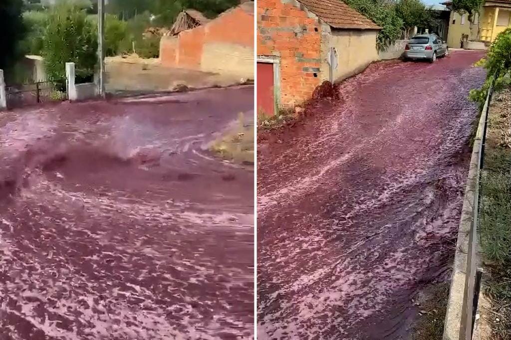 600,000 gallons of red wine flow through Portuguese city after spill, generating environmental alert