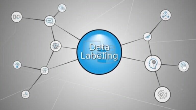 A Complete Guide to Data Labeling Services and Their Importance