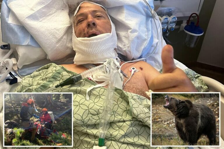 A grizzly bear tore the jaw off of a veteran who he tried to stop with his bare hands