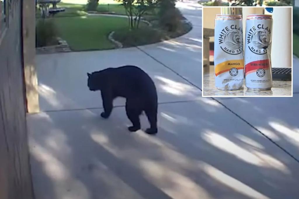 A three-legged bear named 'Tripod' breaks into a Florida home and swallows three white claws