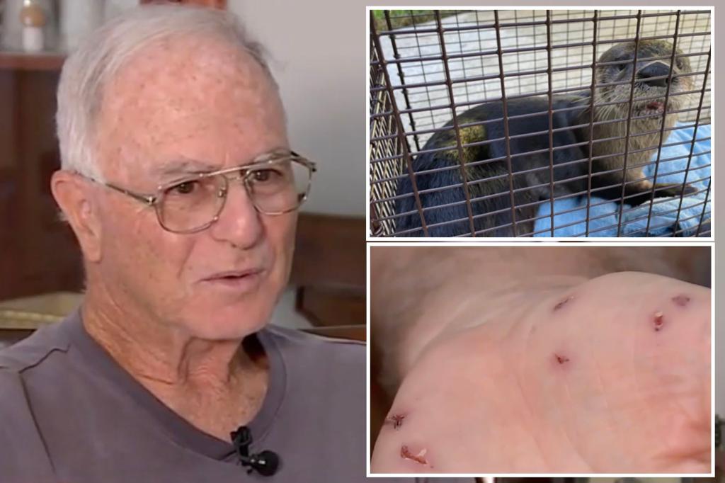 An elderly Florida man was savagely attacked and bitten by a rabid otter 41 times while feeding ducks.