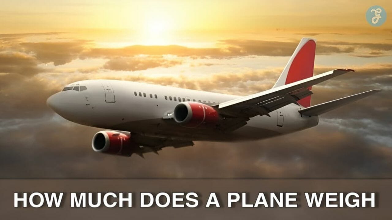 Can You Guess How Much Does a Plane Weigh? [In-depth Analysis]