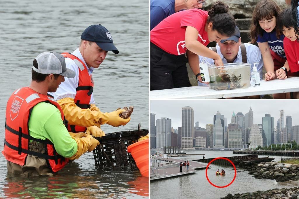 Clutch your pearls: Watch Prince William get wet on his visit to New York