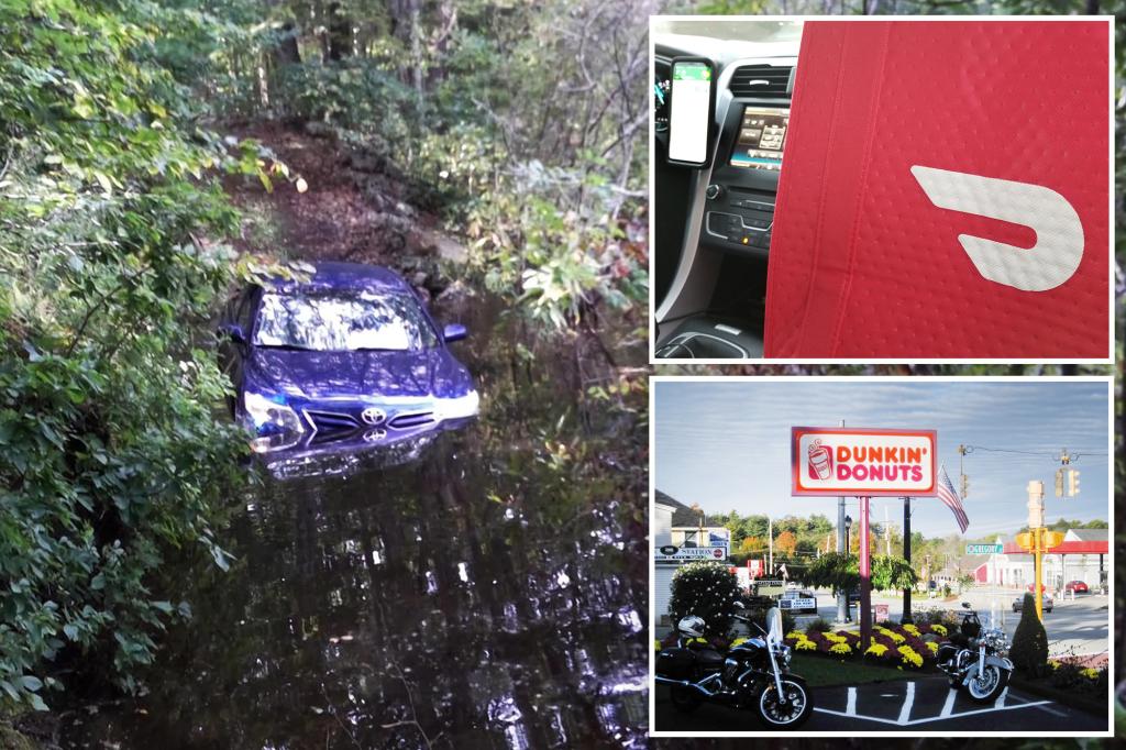 DoorDash driver with Dunkin' followed GPS and drove into swamp