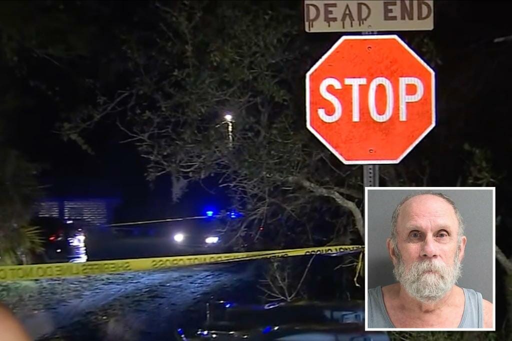 Florida man, 78, shoots neighbor to death for trimming trees over his property line: cops