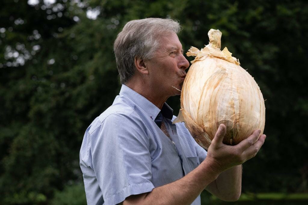 Gardener Grows Nearly 20-Pound Onion That May Have Broken a World Record
