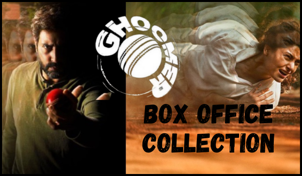Ghoomer Box Office Collection
