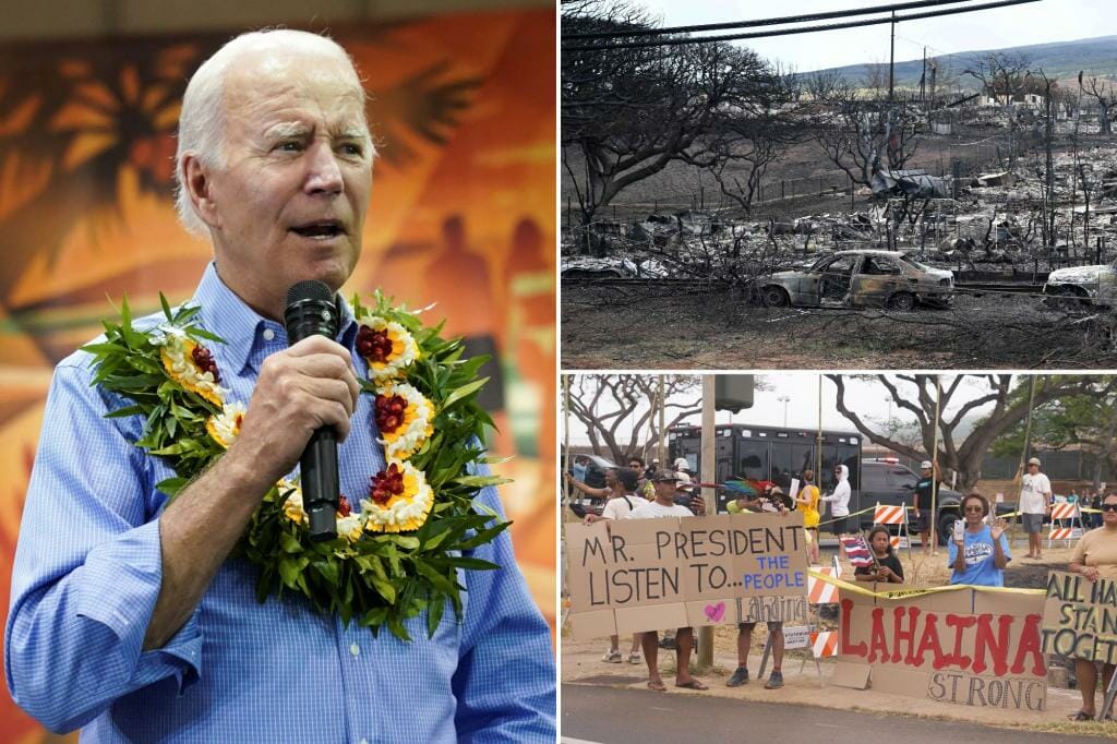 Hawaii lawmaker says Biden's brief, sleepy visit was a 'slap in the face' to Maui