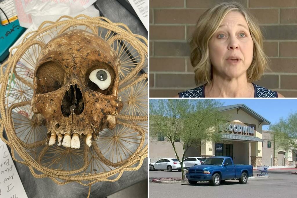 Human skull with fake eye donated to Arizona Goodwill, impacting savings stop workers