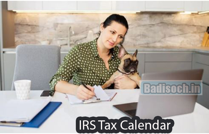 IRS Tax Calendar