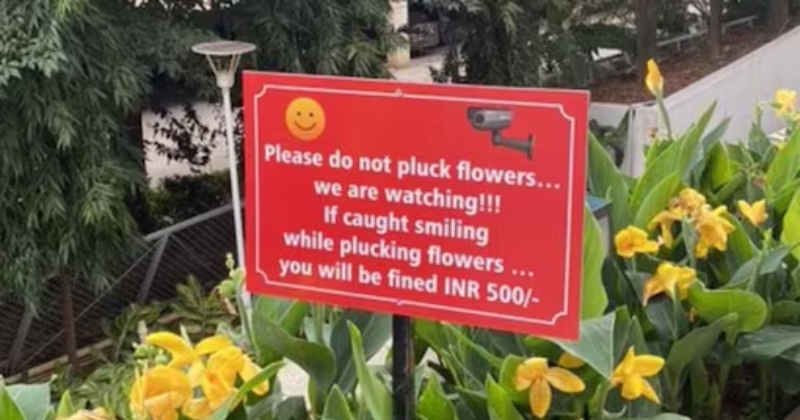 'If you are caught smiling while plucking...' A strange poster in Bengaluru asking people not to pluck flowers goes viral