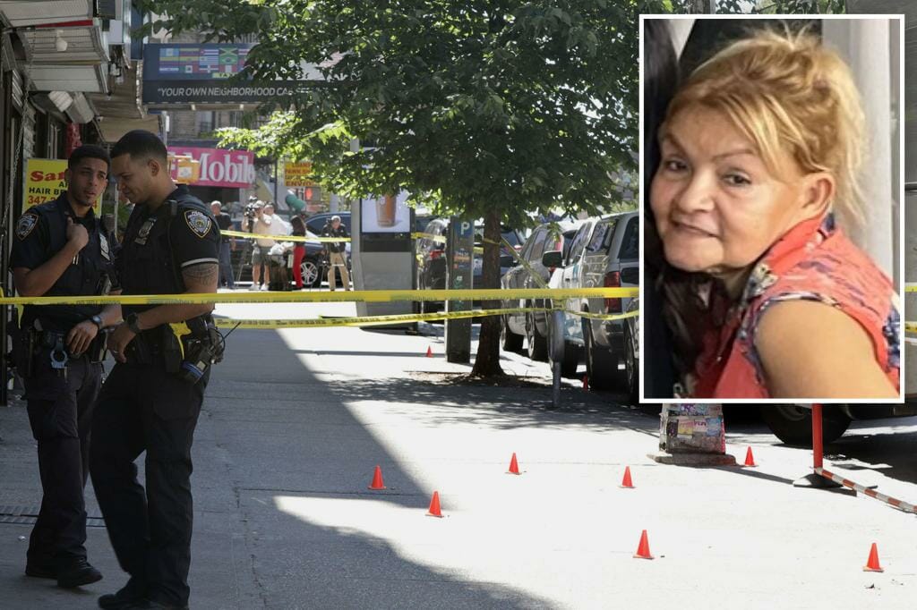 Innocent New York grandmother shot to death while running errands during alleged gang fight: 'A beautiful person'