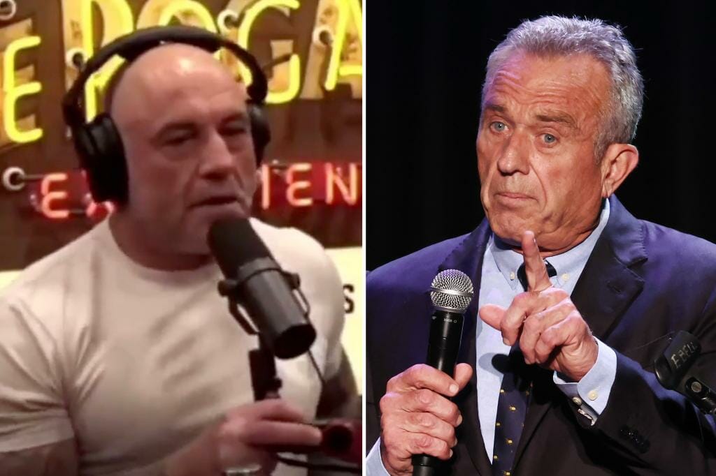 Joe Rogan Endorses 'Fascinating' RFK Jr., Calls US State a 'Can't Stop Watching Show'