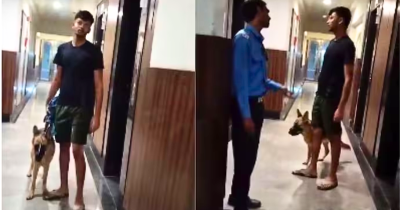 Latest video shows owner defending muzzled dog as guard asks him to leave after child starts crying