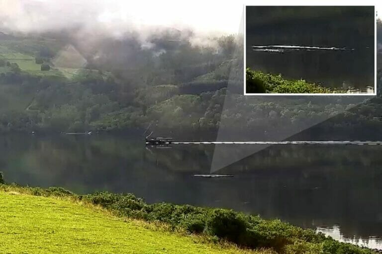 Loch Ness monster detective claims he ‘won the lottery’ with recent footage