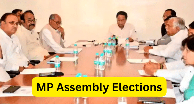 MP Assembly Election