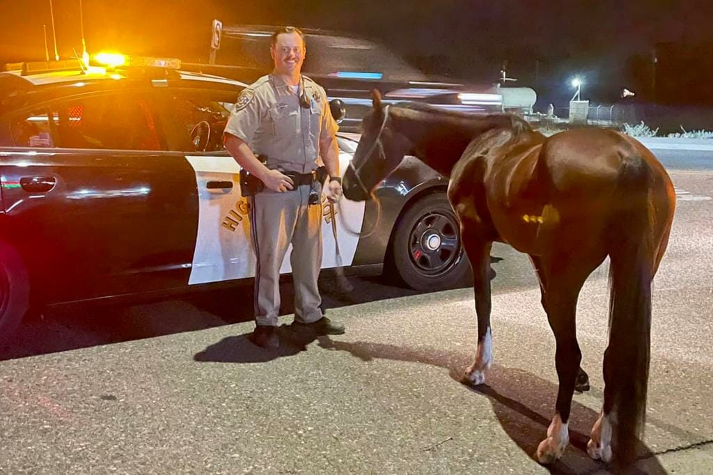 Man charged with DUI for allegedly riding a horse while intoxicated