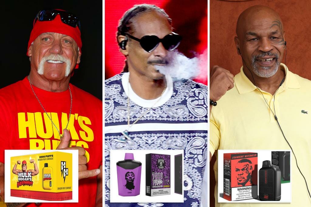 New York Deli Stores Demand Snoop Dog, Mike Tyson and Hulk Hogan Stop Selling Child-Friendly E-Cigarettes