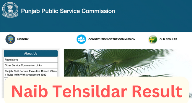 PPSC Naib Tehsildar Result 2023 Answer Key, Cut, Merit List Download