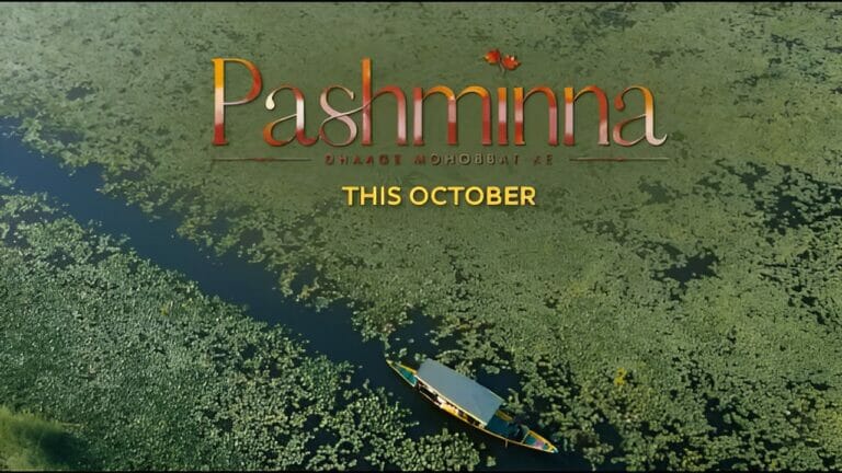 Pashmina (SAB TV) Show Wiki, Cast, Showtimes, Story & More