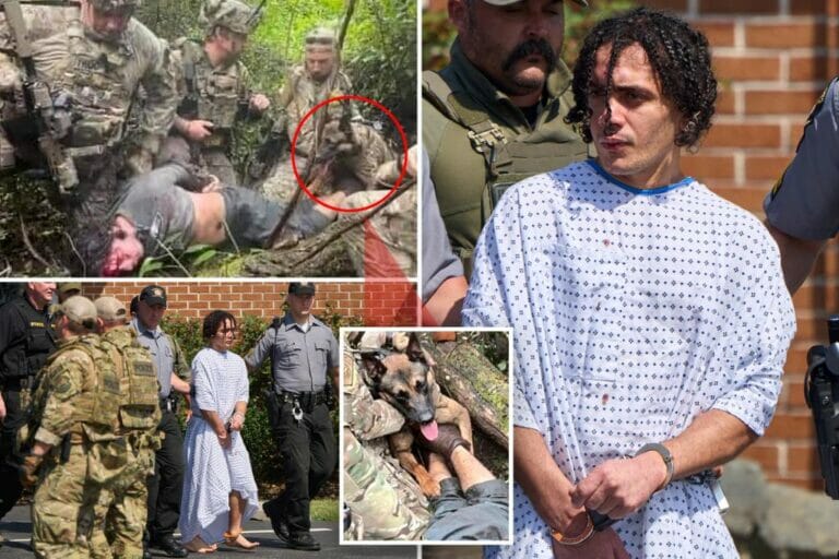 Photos emerge of the heroic K-9 who located the fugitive killer when Danelo Cavalcante is seen barefoot and bloody