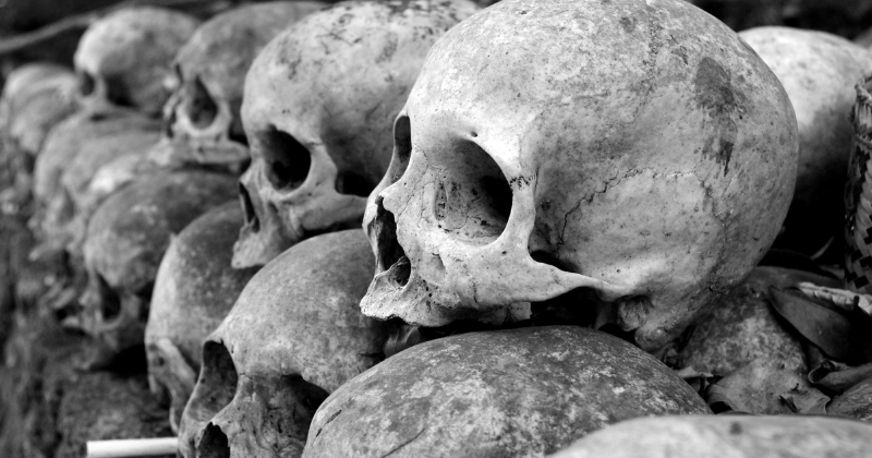 'Population bottleneck': With 98.7% of ancestors lost, study claims this is how humanity nearly 'went extinct'