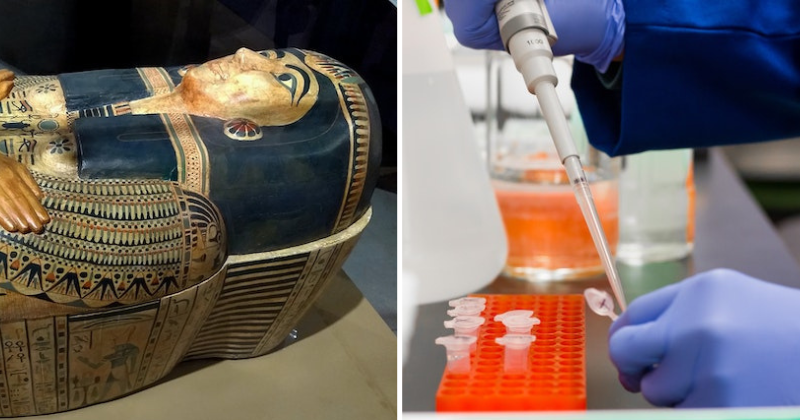 Secret!  Scientists recreate 'scent of eternity' and replicate balms used on Egyptian mummies