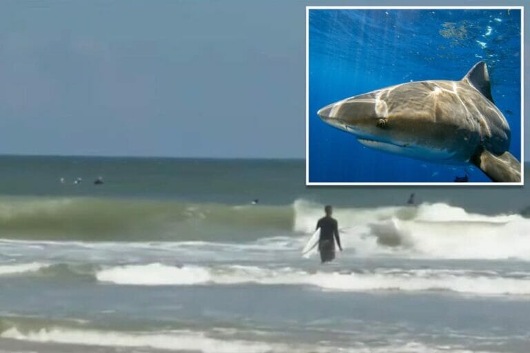 Shark bites surfer in the face in New Smyrna Beach, Florida