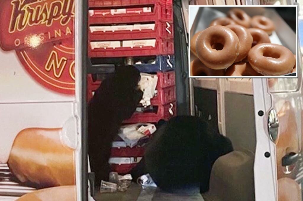 Shocked driver discovers bears raiding Krispy Kreme delivery van: 'They just kept eating'