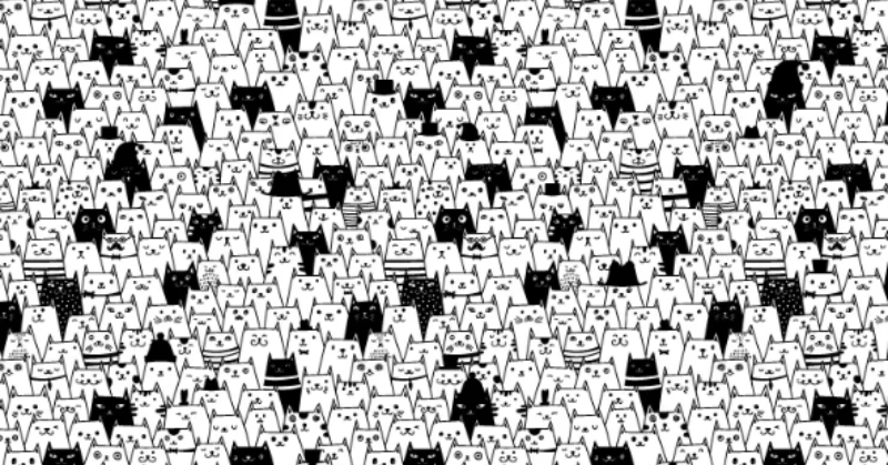 Solve this viral optical illusion: here you must spot the black and white cat with the witch hat