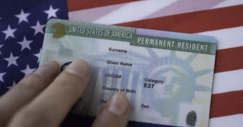 Study Predicts Over 4 Lakh Indians Will Die While Waiting for US Green Card: All You Need to Know