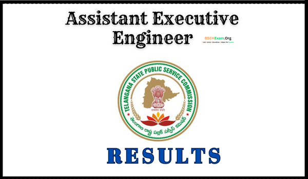TSPSC AEE Results