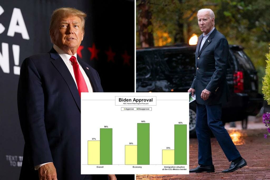 Trump gains surprising 10-point lead over Biden in new poll