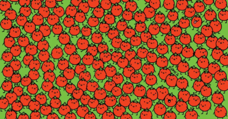 Try this new optical illusion: it’s time to detect the 3 apples hidden among the tomatoes