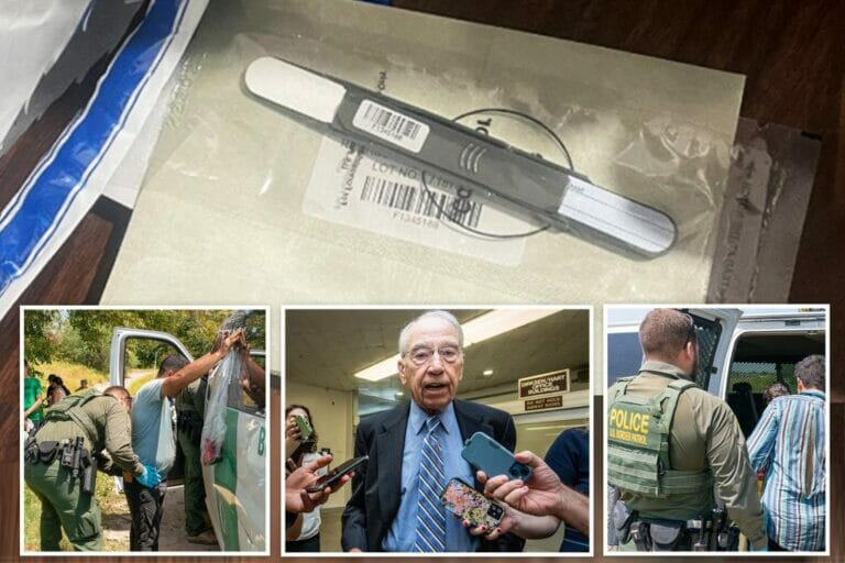 US Border Agency Made ‘Demonstrably False’ Claim to Post About Downgraded Whistleblowers: Grassley