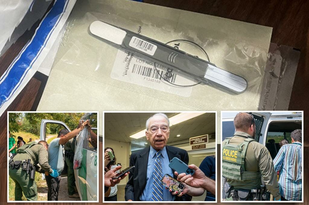 US Border Agency Made 'Demonstrably False' Claim to Post About Downgraded Whistleblowers: Grassley