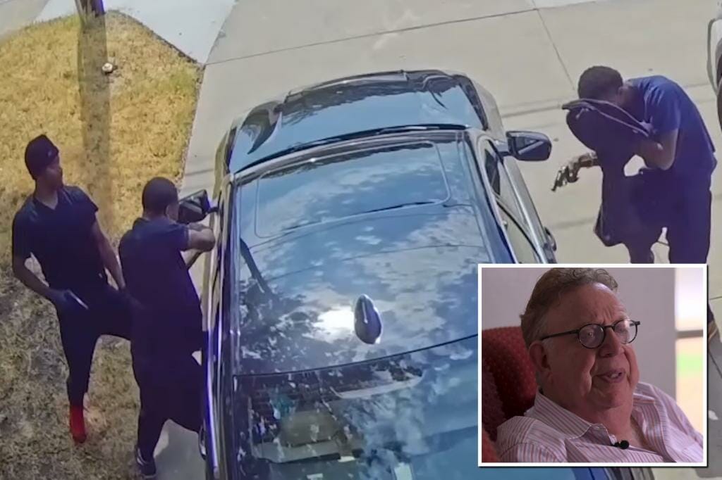 Video captures terrifying moment armed thugs ambush wealthy investor in his driveway