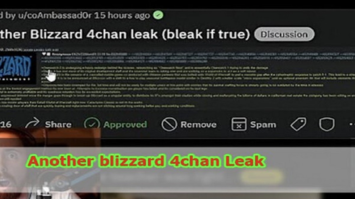 Another Blizzard 4chan Video Viral