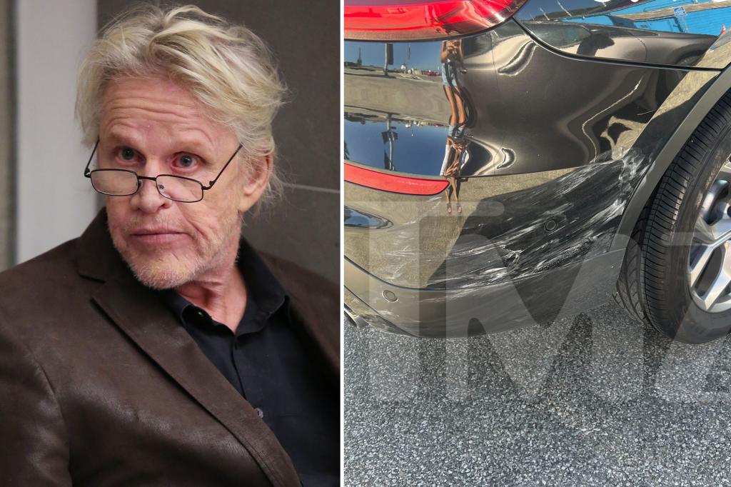 Woman chases and confronts Gary Busey after alleged Malibu hit-and-run, wild video shows