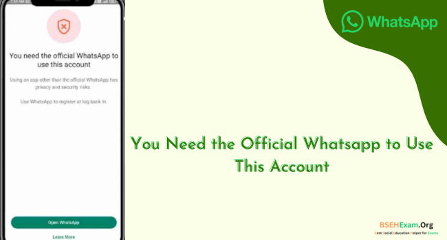 You Need the Official Whatsapp to Use This Account