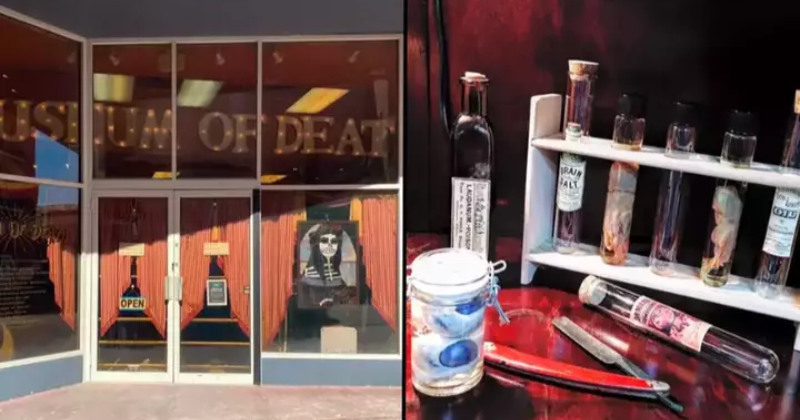 Believe it or not, 'The Museum of Death' keeps track of every moment someone vomits or faints