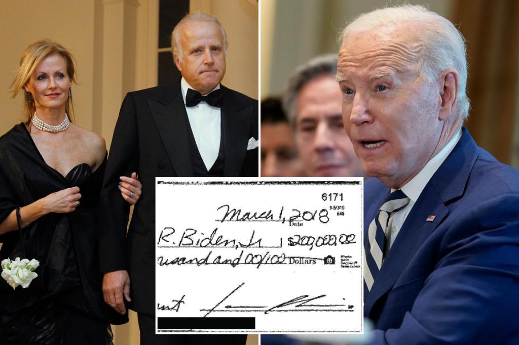 Biden's brother paid him $200,000 while looking for a Middle East investor for a hospital company